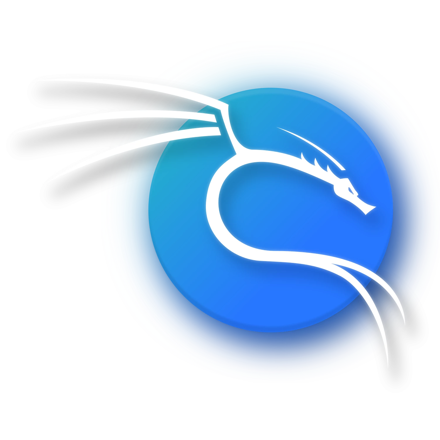 Kali Linux Icon